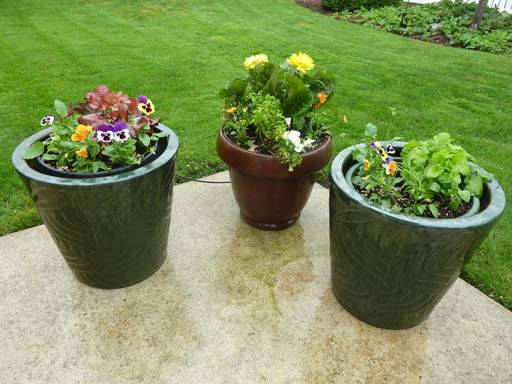 containers or pots using plastic pots as liners